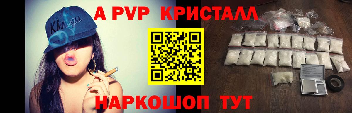 Альфа ПВП СК Ачхой-Мартан