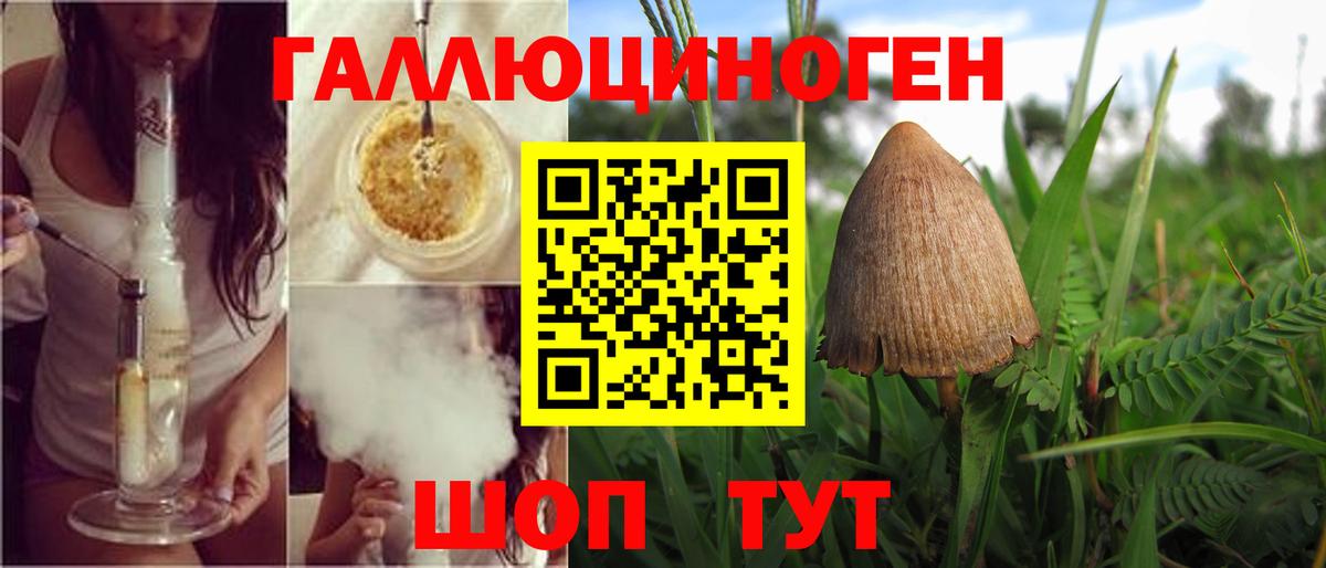 Ачхой-Мартан  Галлюциногенные грибы Psilocybine cubensis  Галлюциногенные грибы Magic Shrooms  купить наркотики сайты  Вход с VPN 