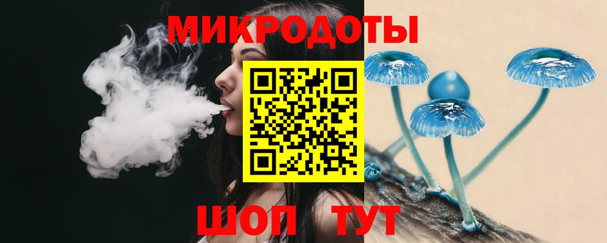 Галлюциногенные грибы Psilocybe Ачхой-Мартан